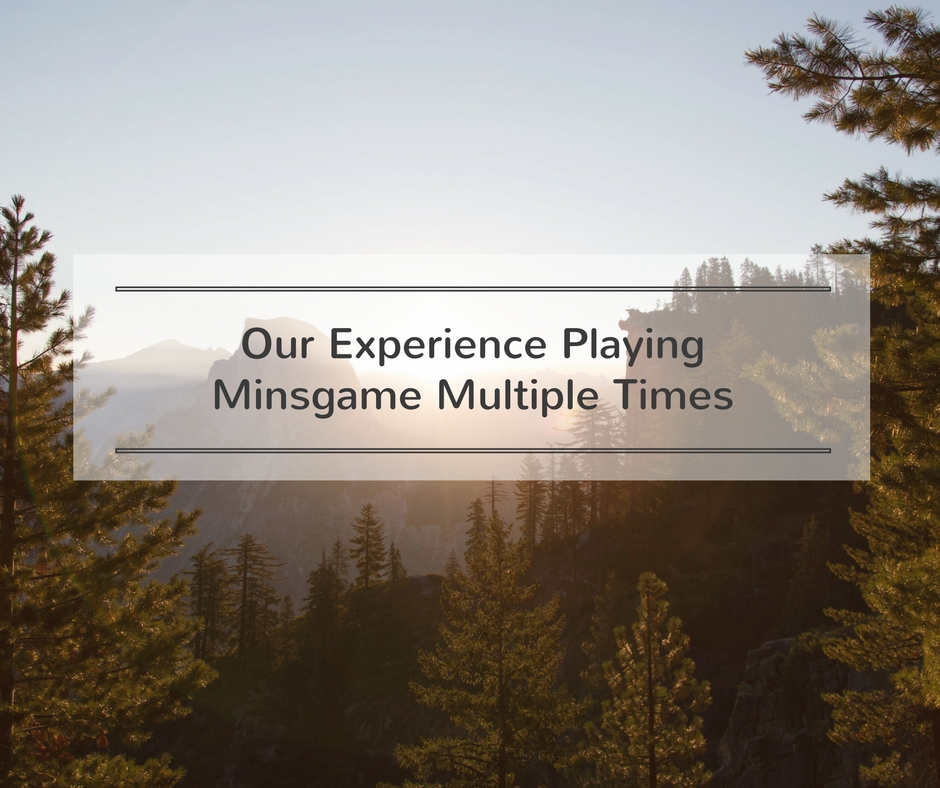 Our Experience Playing Minsgame Multiple Times